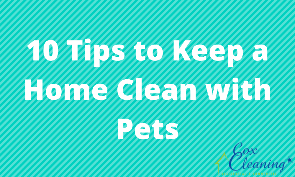Read more about the article 10 Tips to Keep a Home Clean with Pets