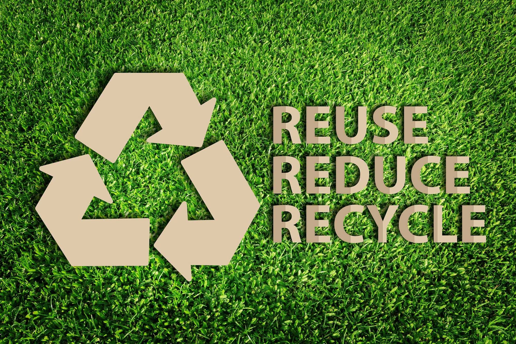 Read more about the article Reduce, Reuse, Recycle